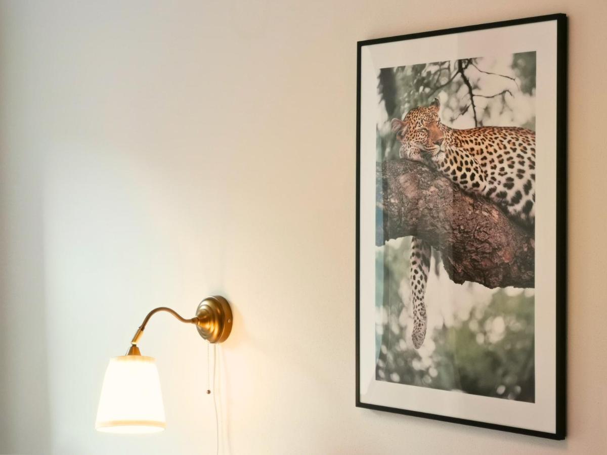 Fynbos Apartments Deluxe, Balkon, Historisch, Parkplatz Meißen Eksteriør billede